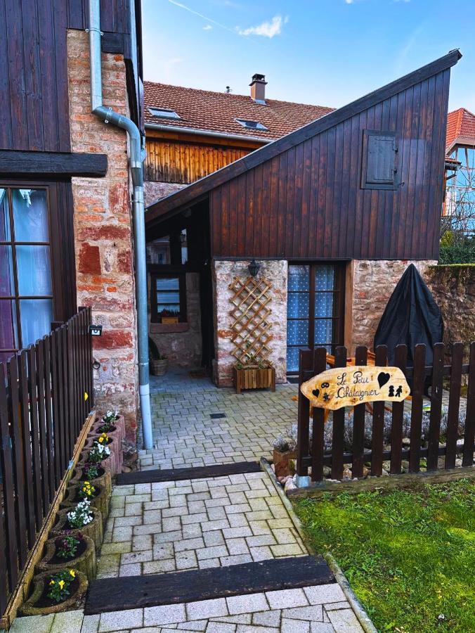 Le Petit Chataignier - Cozy Immo Шатнуа Экстерьер фото